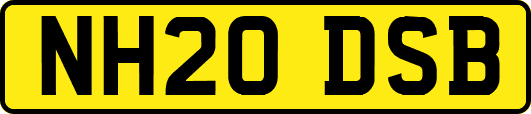 NH20DSB