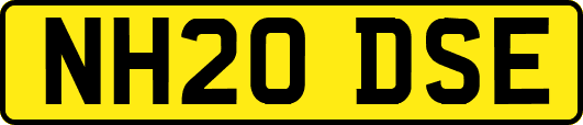 NH20DSE