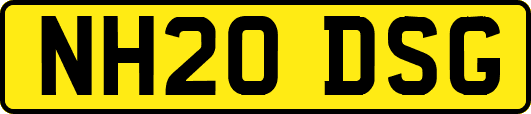 NH20DSG