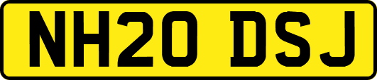 NH20DSJ