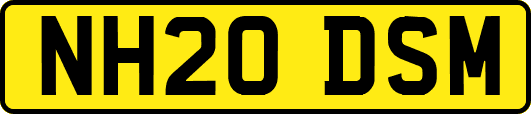 NH20DSM