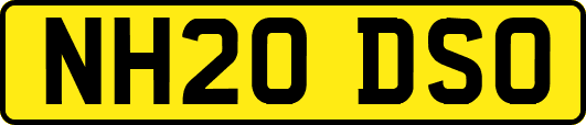 NH20DSO