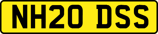 NH20DSS