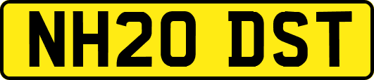NH20DST