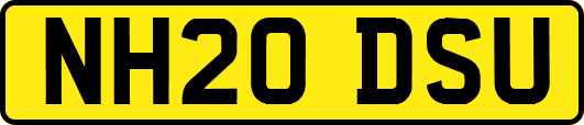 NH20DSU