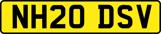 NH20DSV