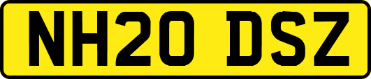 NH20DSZ