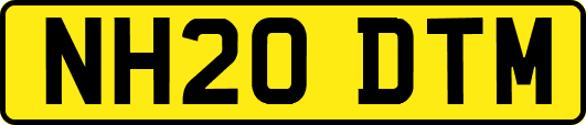 NH20DTM
