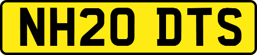 NH20DTS