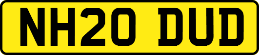 NH20DUD