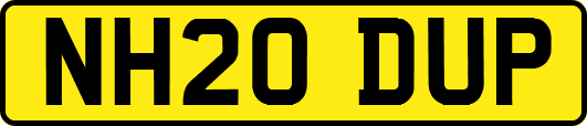 NH20DUP