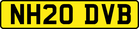 NH20DVB