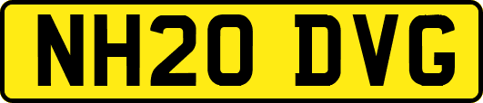 NH20DVG