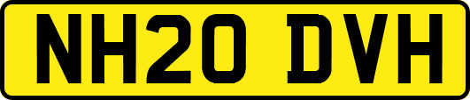 NH20DVH