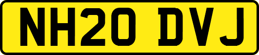 NH20DVJ