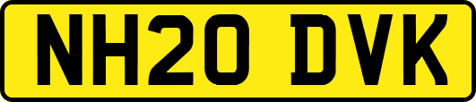 NH20DVK