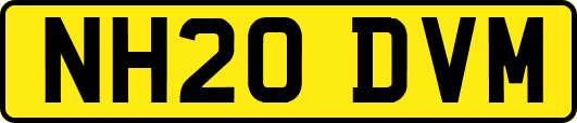 NH20DVM