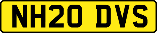 NH20DVS