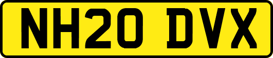 NH20DVX