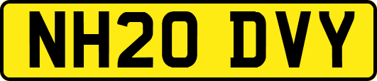 NH20DVY