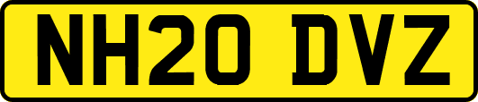 NH20DVZ