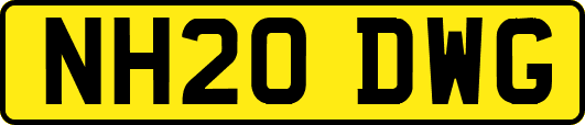NH20DWG