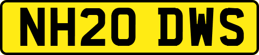 NH20DWS
