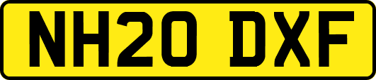 NH20DXF