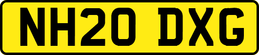 NH20DXG
