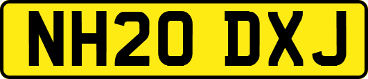 NH20DXJ