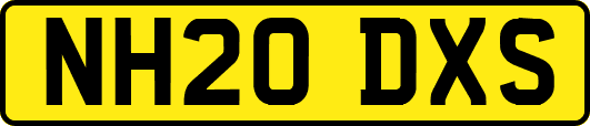 NH20DXS