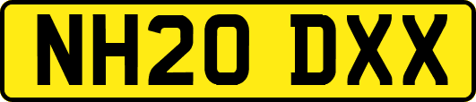 NH20DXX