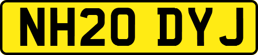 NH20DYJ