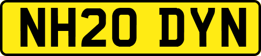 NH20DYN