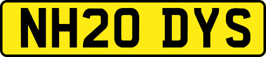 NH20DYS
