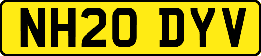 NH20DYV