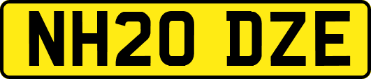 NH20DZE