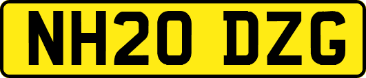 NH20DZG