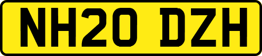 NH20DZH
