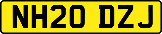 NH20DZJ