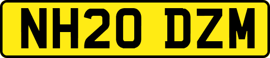 NH20DZM