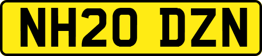 NH20DZN