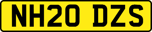 NH20DZS