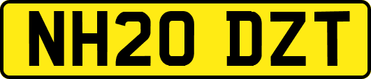 NH20DZT