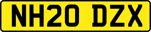 NH20DZX