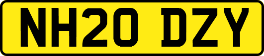 NH20DZY