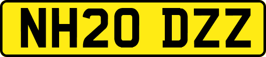 NH20DZZ