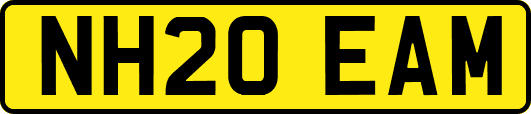 NH20EAM