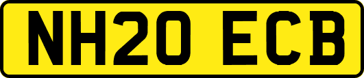NH20ECB