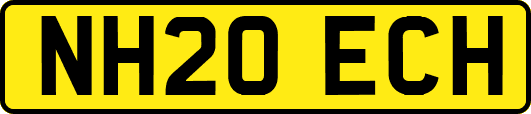 NH20ECH